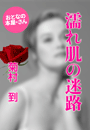 菊村 到『濡れ肌の迷路』